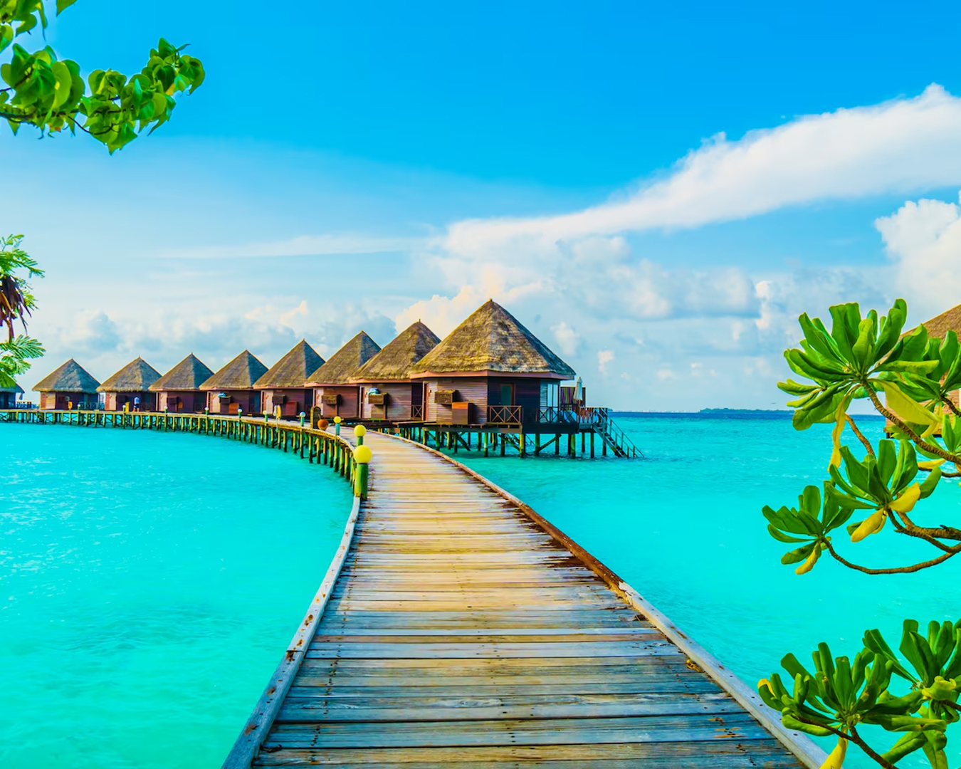 Tour and Travel Agency Digital Marketing by AdZio